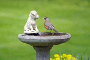 E-news-Mar1-birdbath