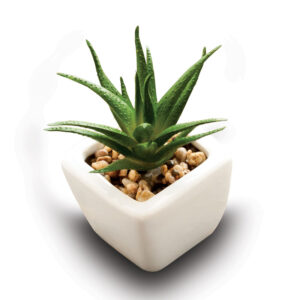 shutterstock_273116435