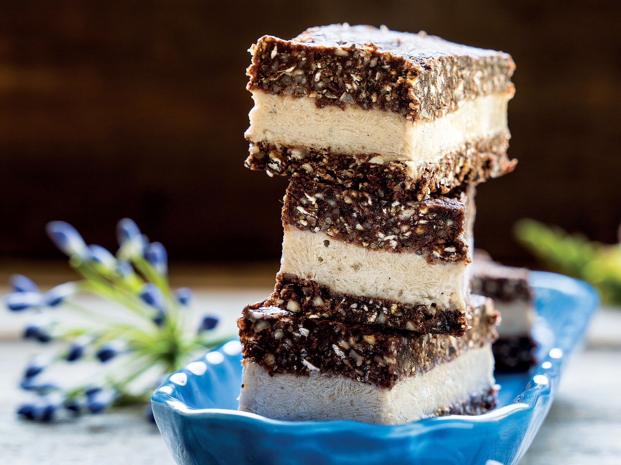 Frosty Chocolate Almond Ice Cream Bars