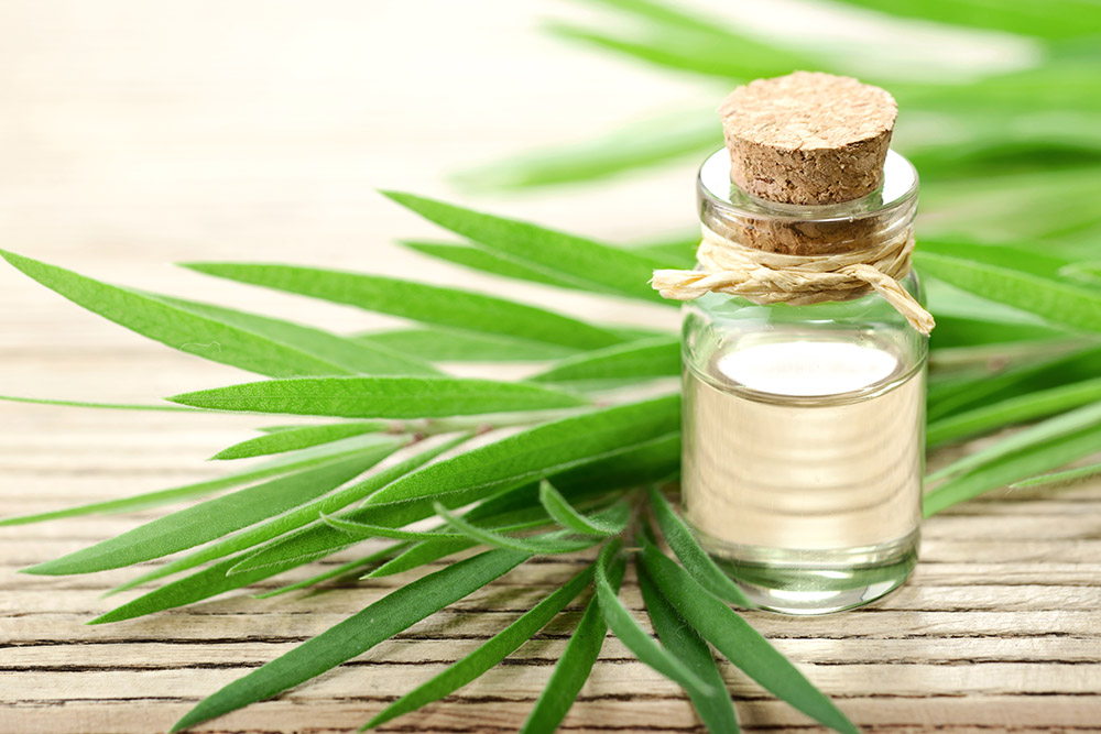 organic tea tree oil