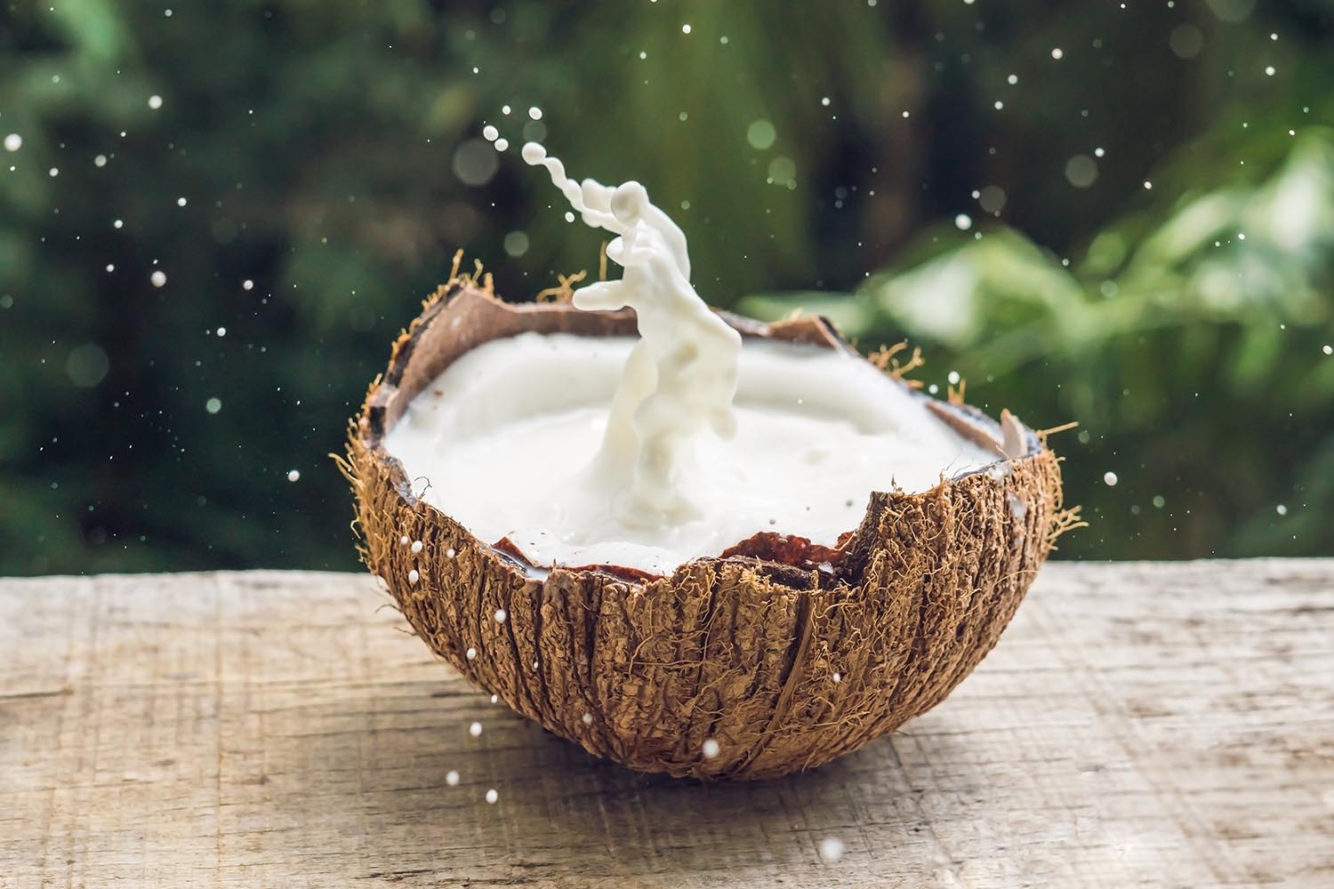 Coconut fruit and milk splash inside it on a background of a palm tree.