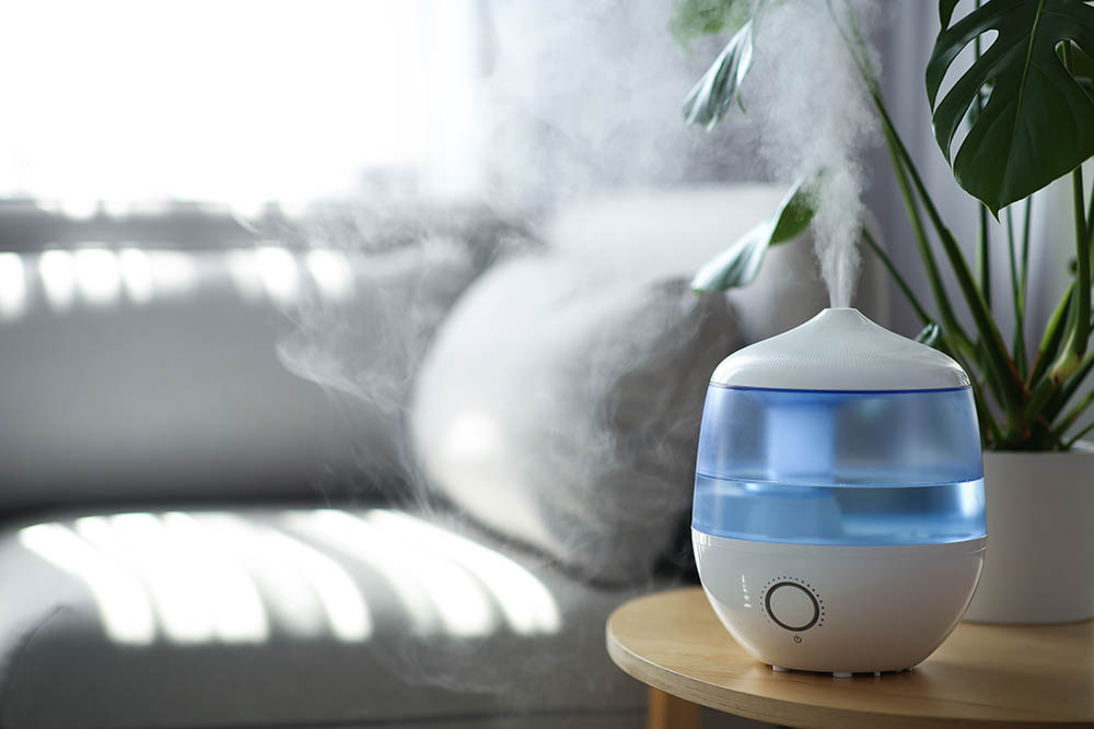 Modern air humidifier and houseplant on table in living room. Space for text