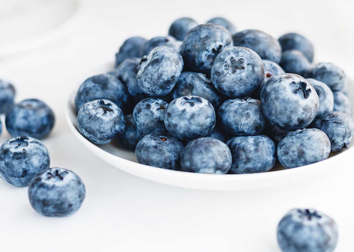Blueberries in a white plate on a white background