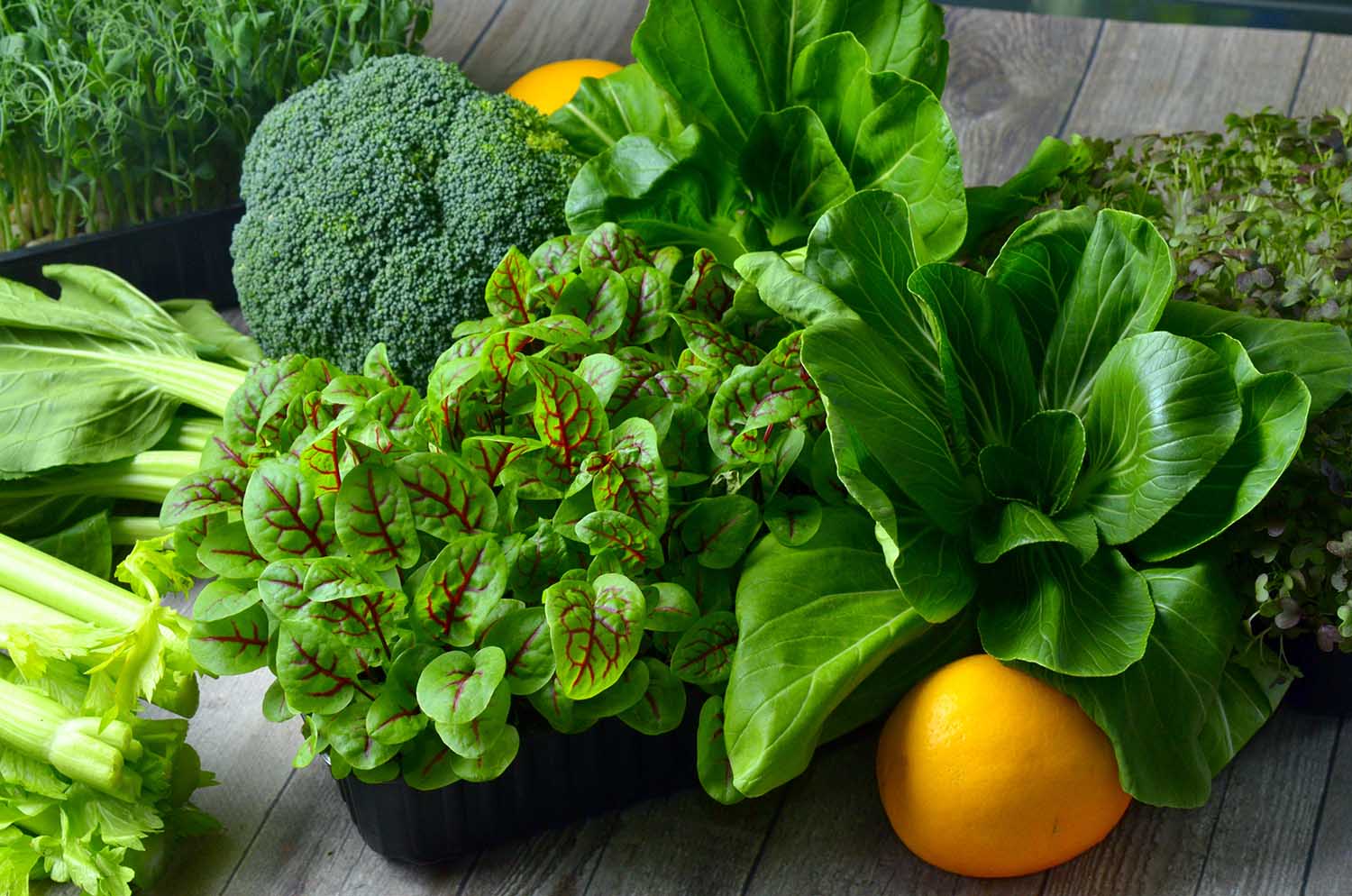 Broccoli, Cos Lettuce and Baby Spinach Leaves in arrangement.