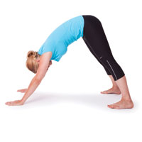 Downward Dog