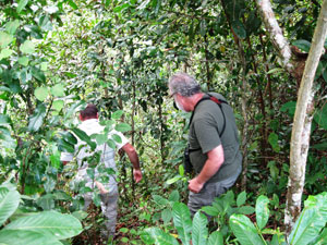 Exploring five years growth