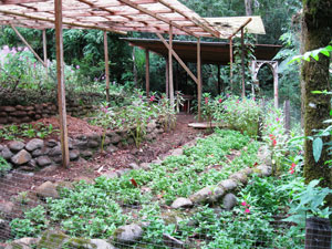 Herbal Garden