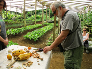 Tom Newmark cutting up turmeric
