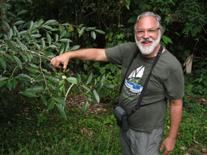 Tom Newmark with a Tea Plant
