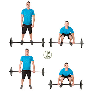 Barbell Deadlift