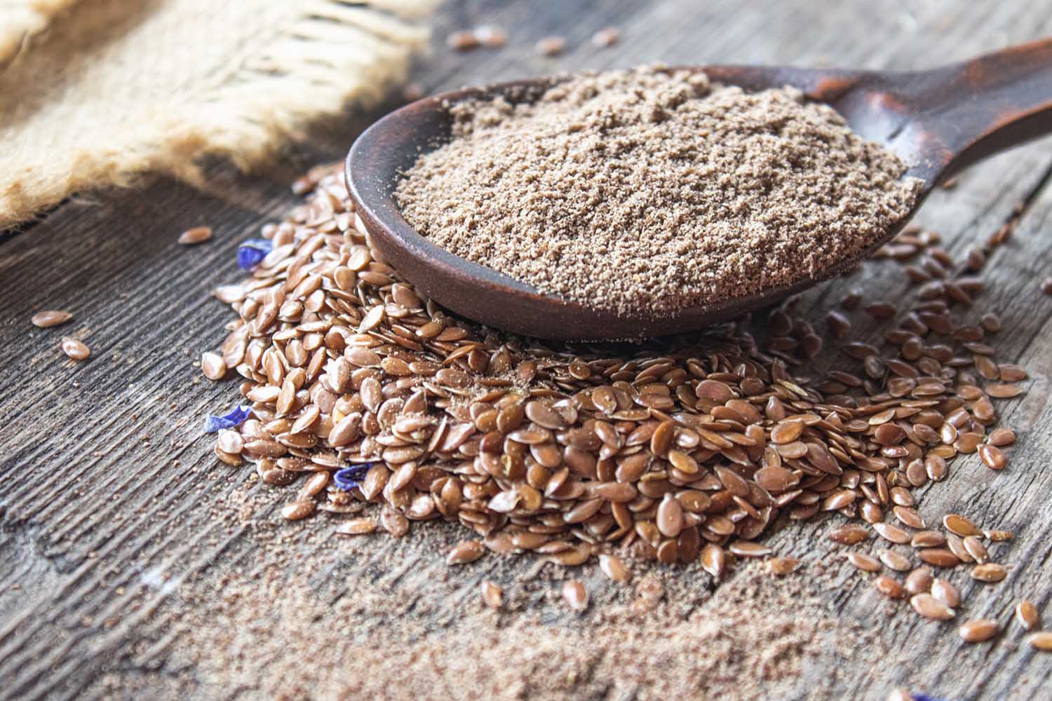 Crushed flax seed in a wooden spoon on a pile of flaxseed. Ground seed is used to prevent heart disease and being overweight.