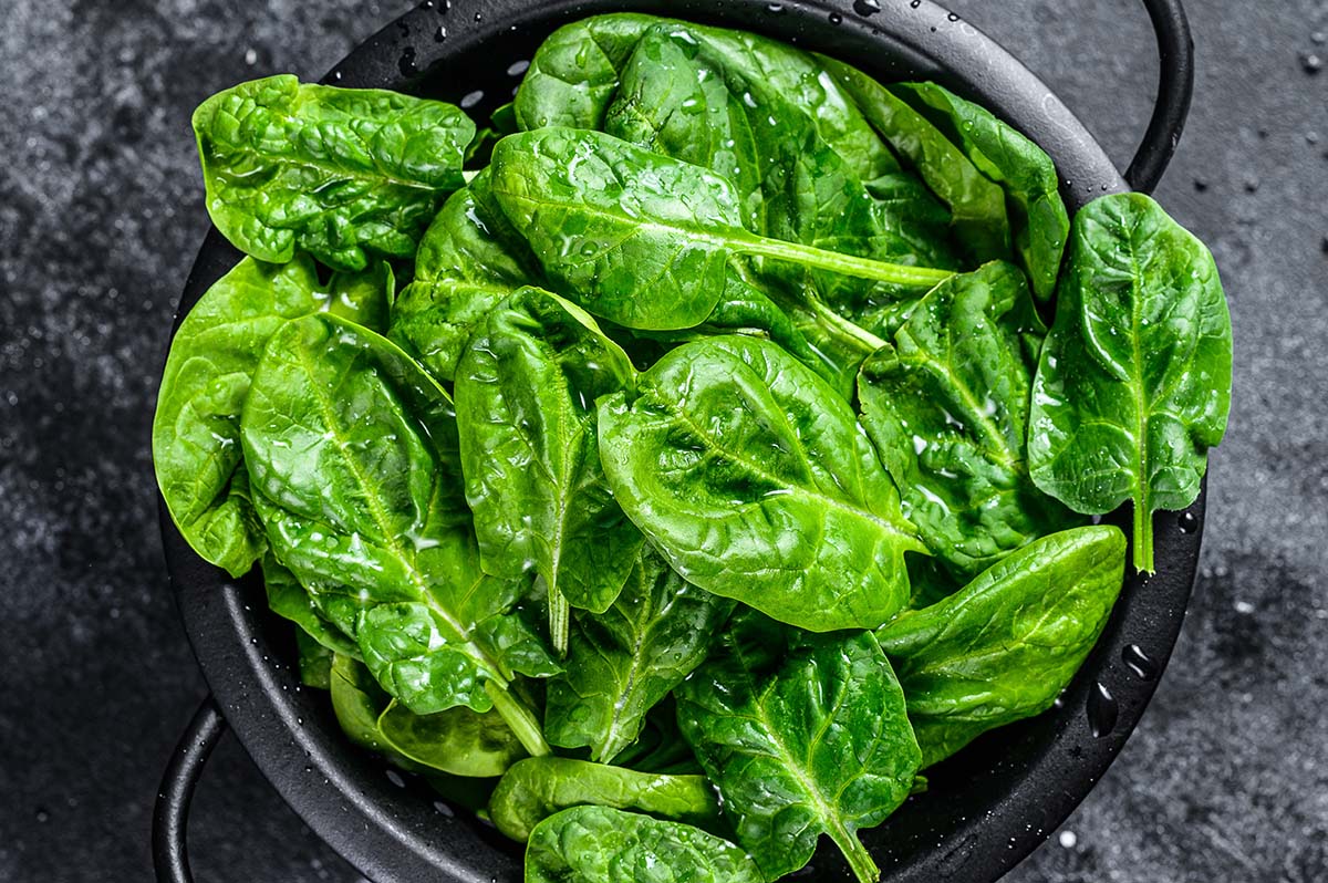 Young raw spinach in a colander. Black background. Top view