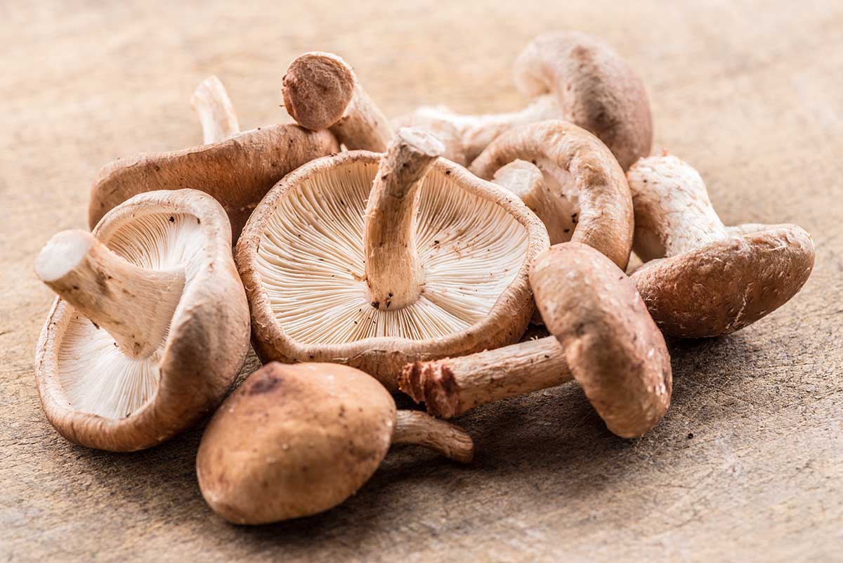 Shiitake mushrooms on the wooden background.