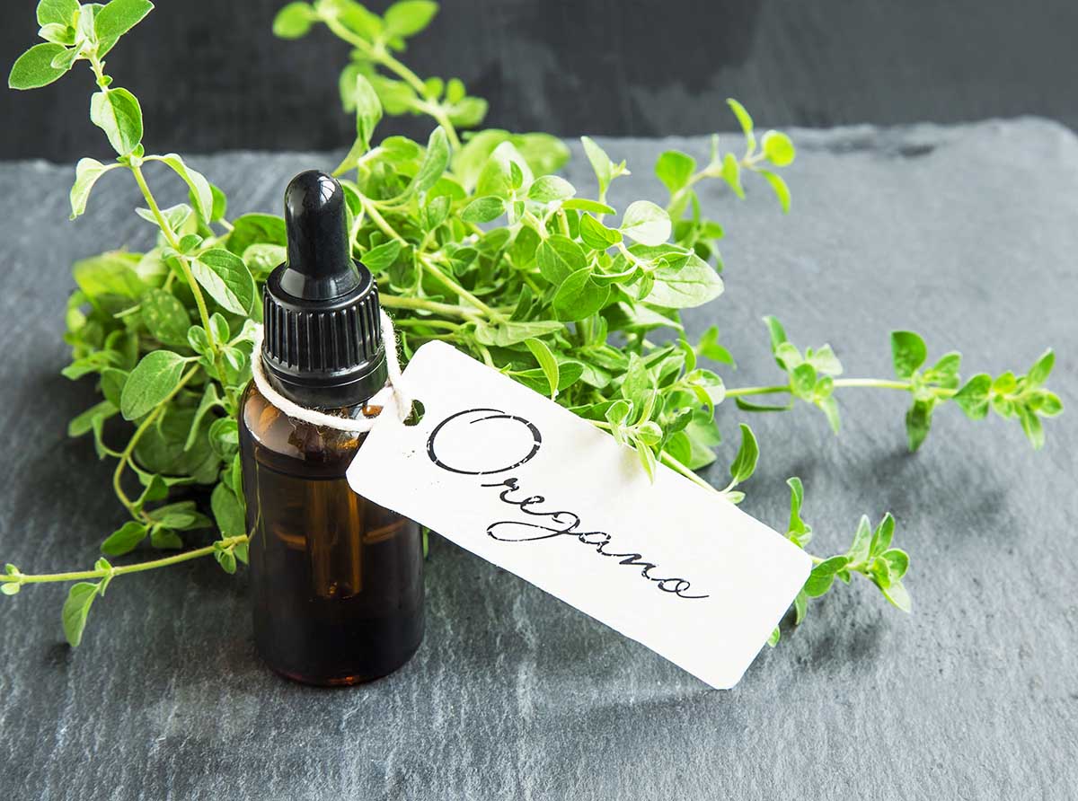 Oregano oil bottle with label and oregano herb bunch