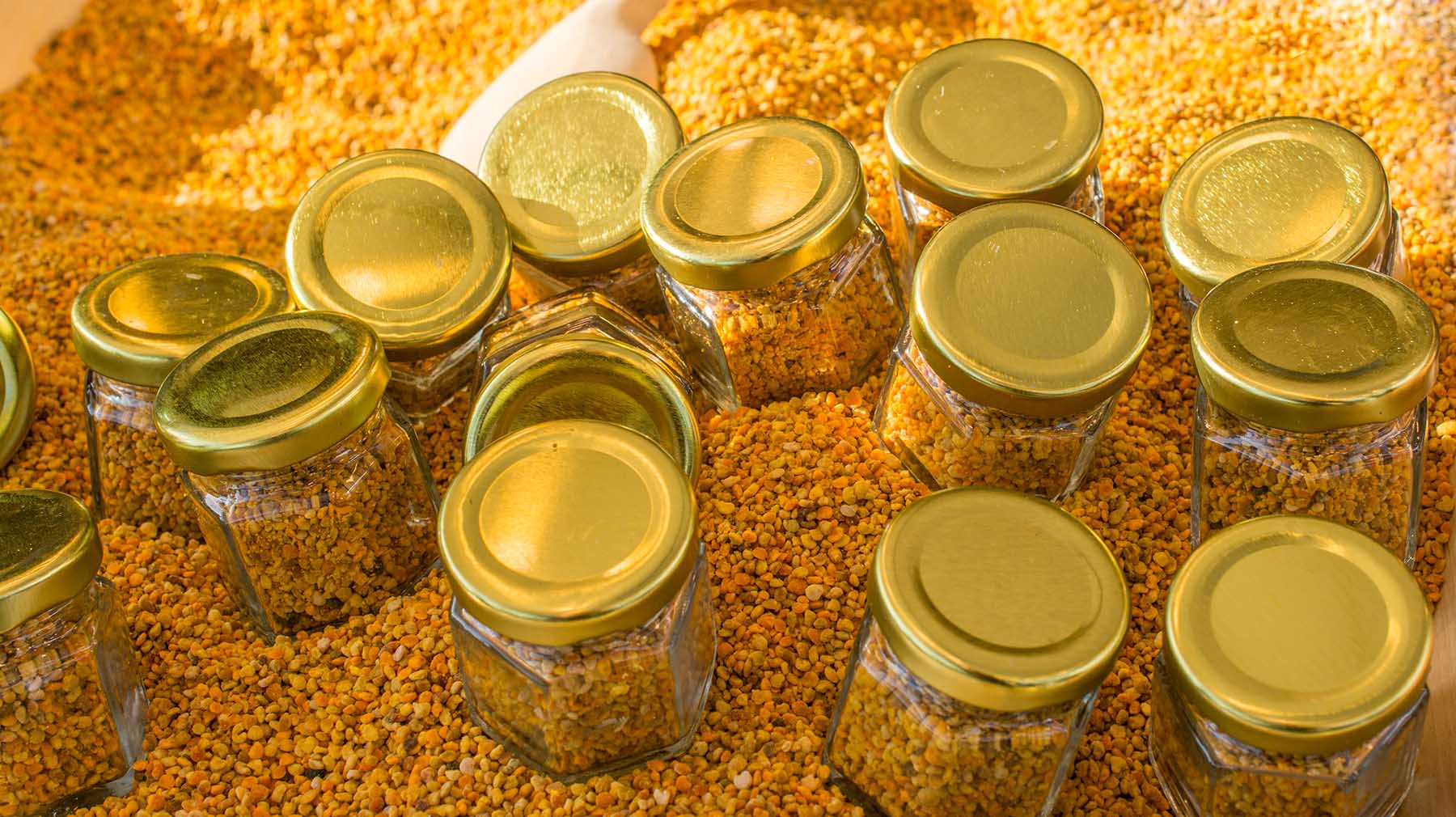 Pollen as healthy organic raw diet food  in jar