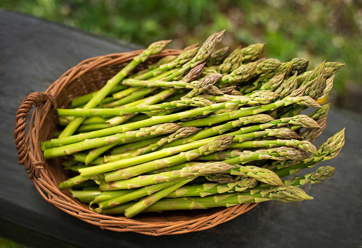 Asparagus. Fresh Asparagus. Green Asparagus in basket.