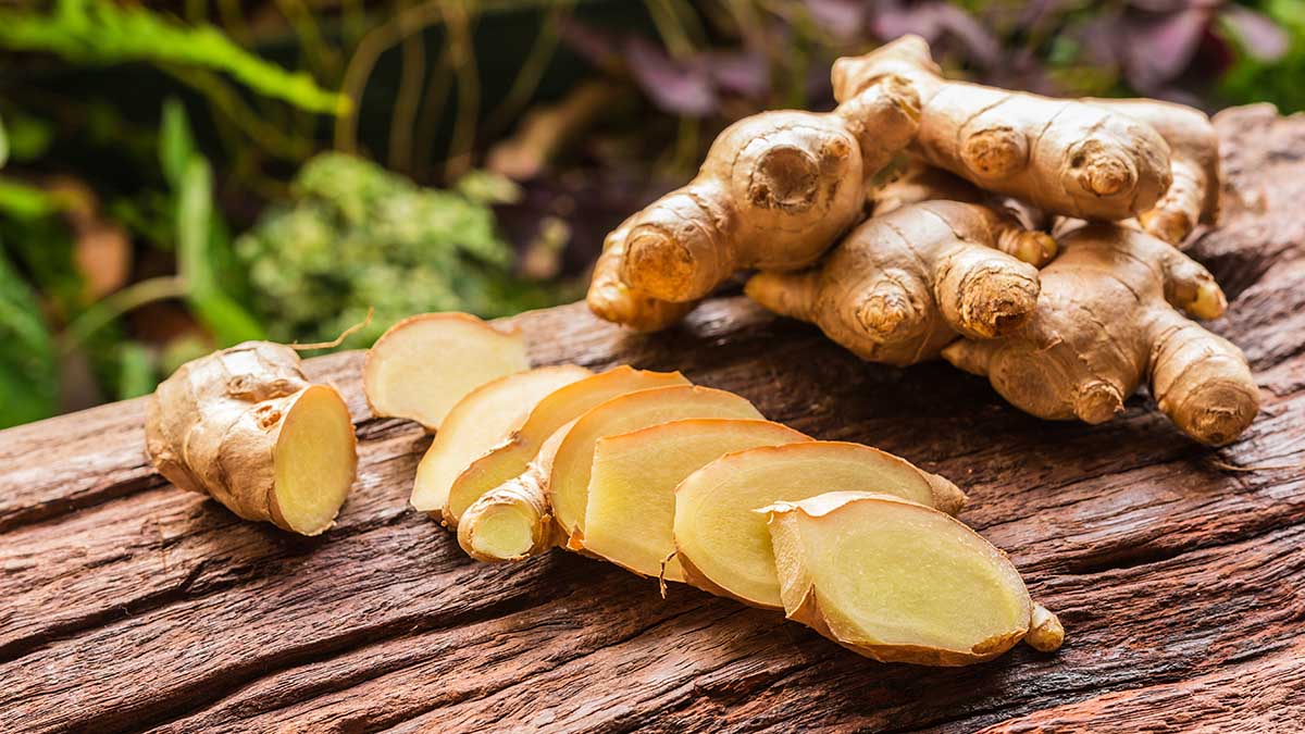 Ginger root and sliced on old plank with nature background. Close-up, Selective focus