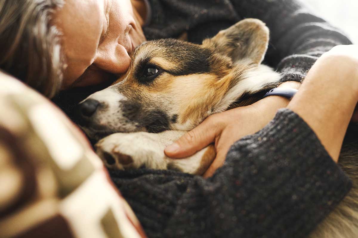 Portrait of young man embracing his pet. Cute Welsh Corgi puppy resting with owner, spending time together at home. Concept friendship with dog and human, cute moments, relaxing, carefree.