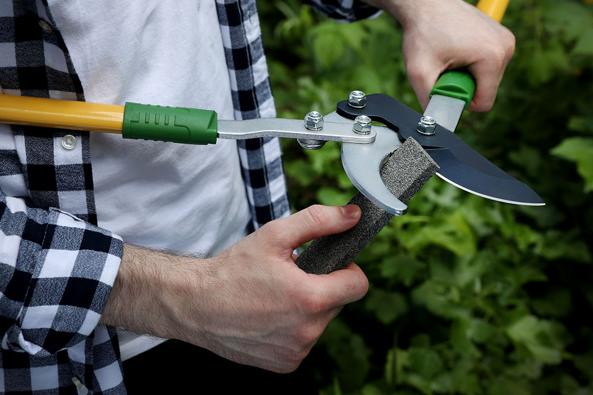 Man sharpening pruner outdoors, closeup. Gardening tools