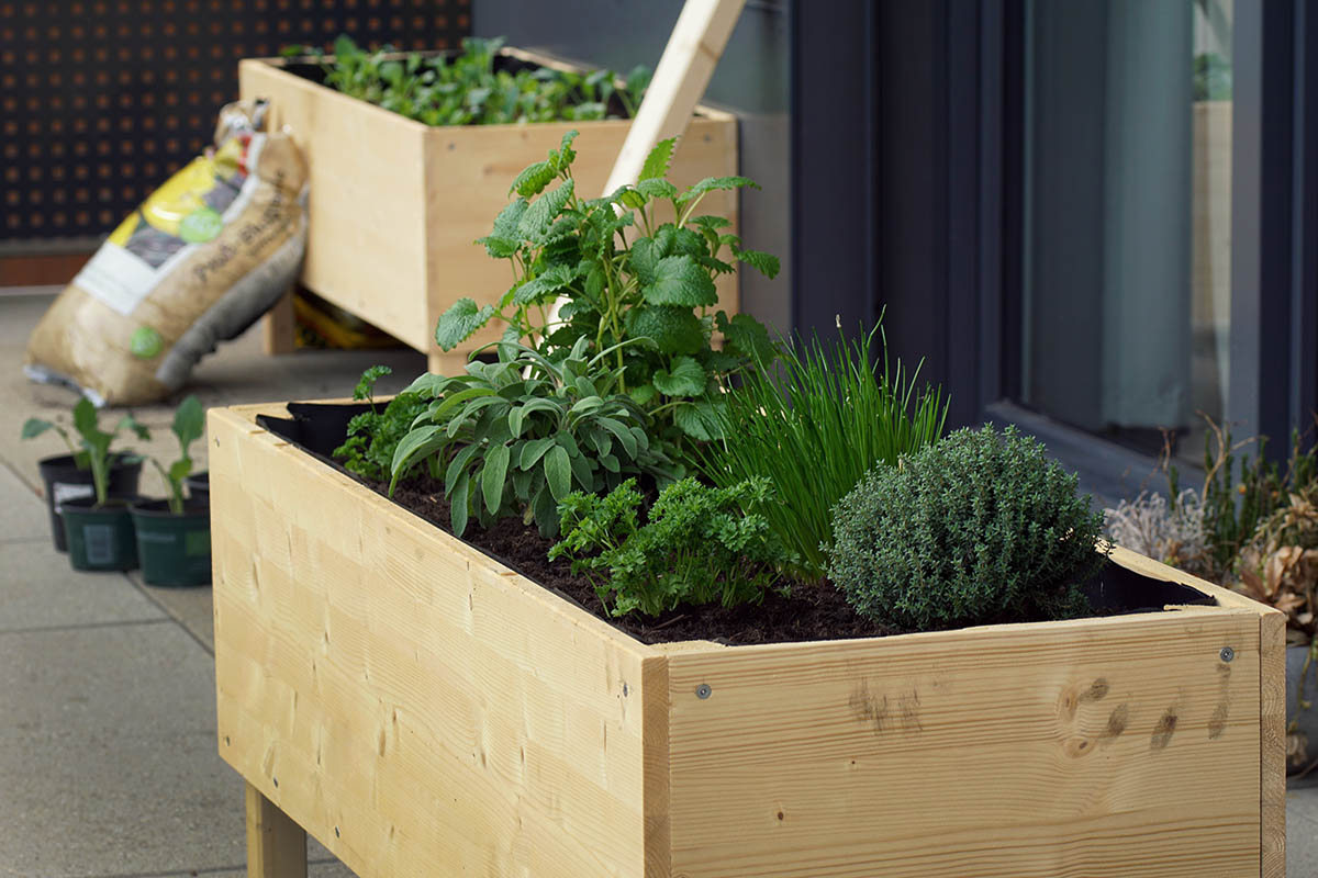 handmade raised bed on a balcony
