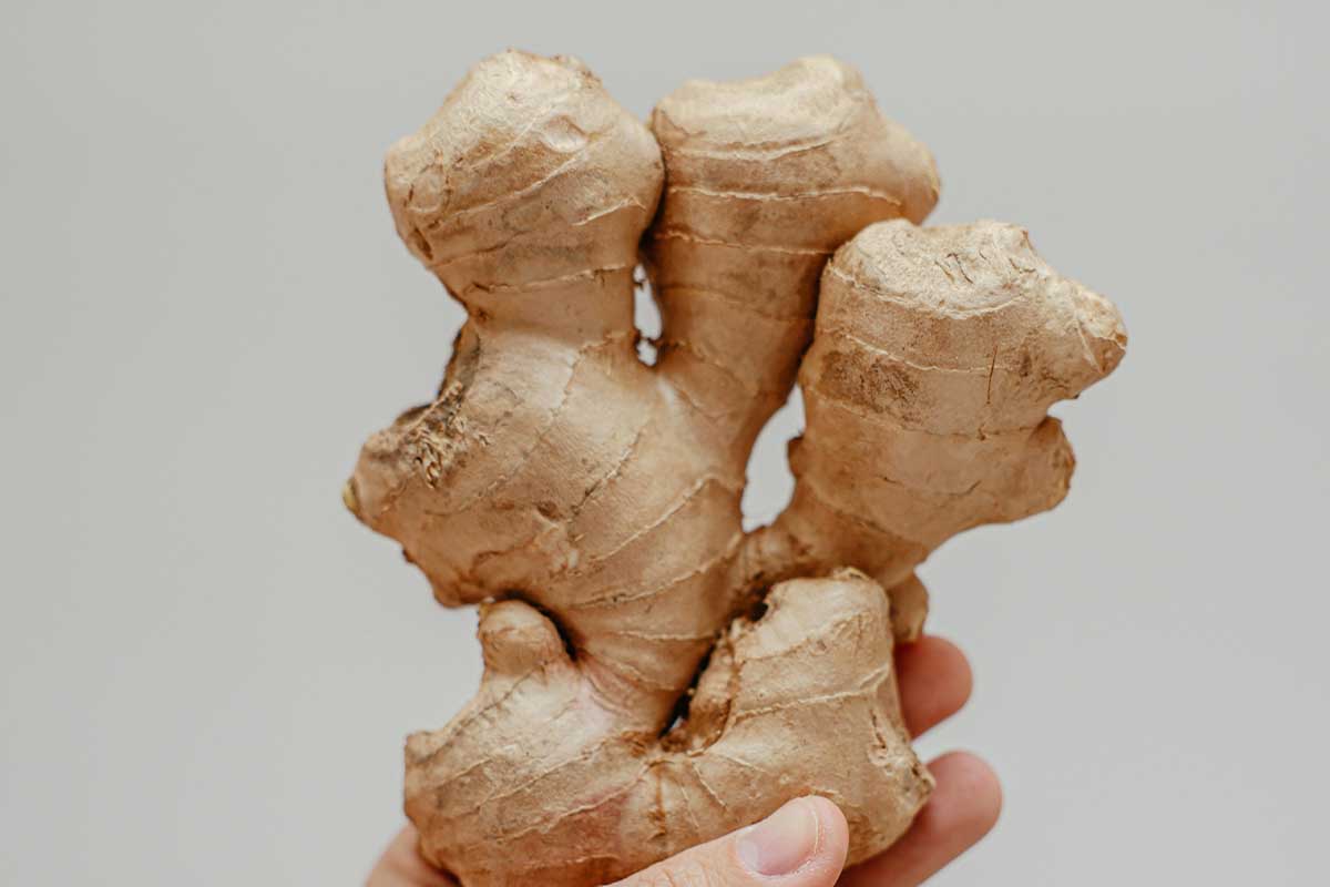 Eat ginger for bloating