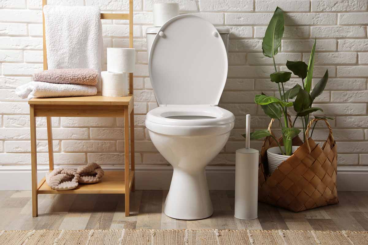 Constipation remedies posture on toilet