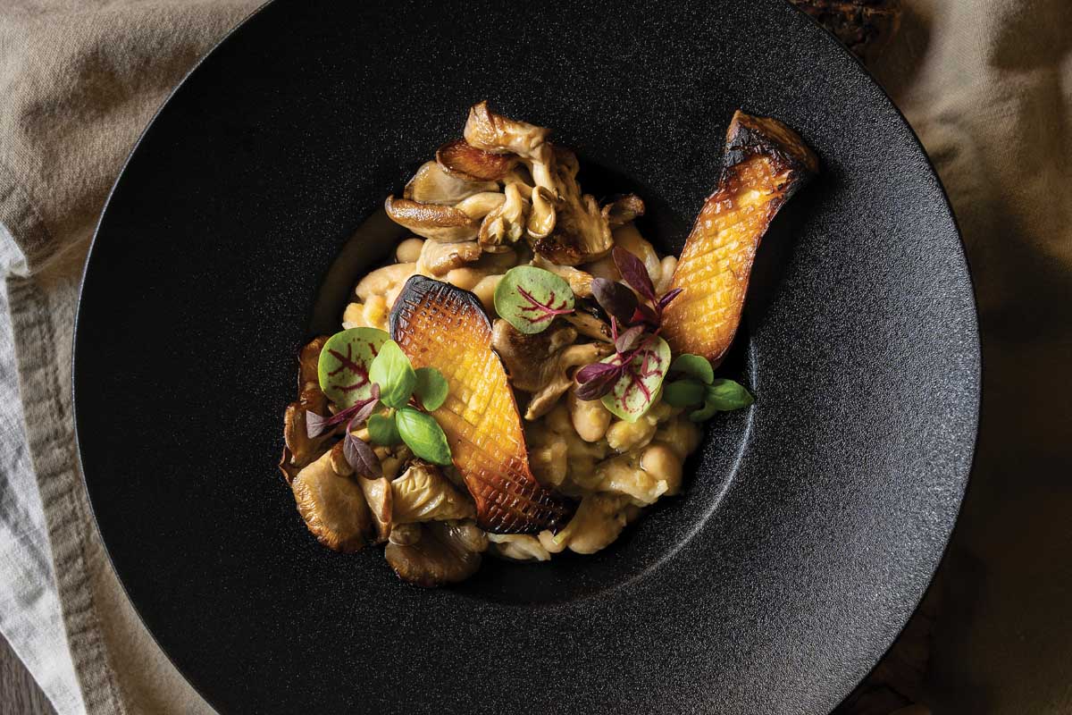 Food from the forest